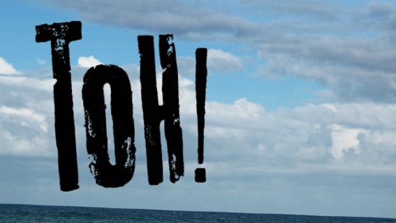 TOH! N.10: Recensioni